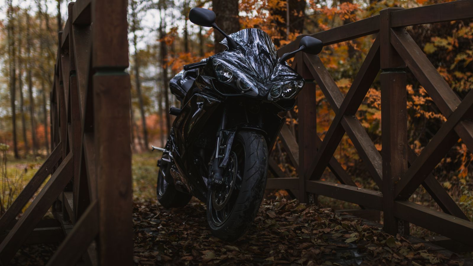 Autumn Motorcycle Prep: Riding the Trickiest Season